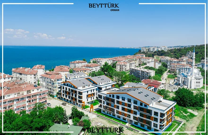 Orman küçük görsel 3